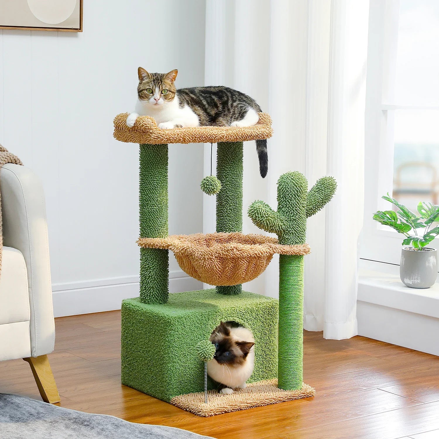 Arbres à chats