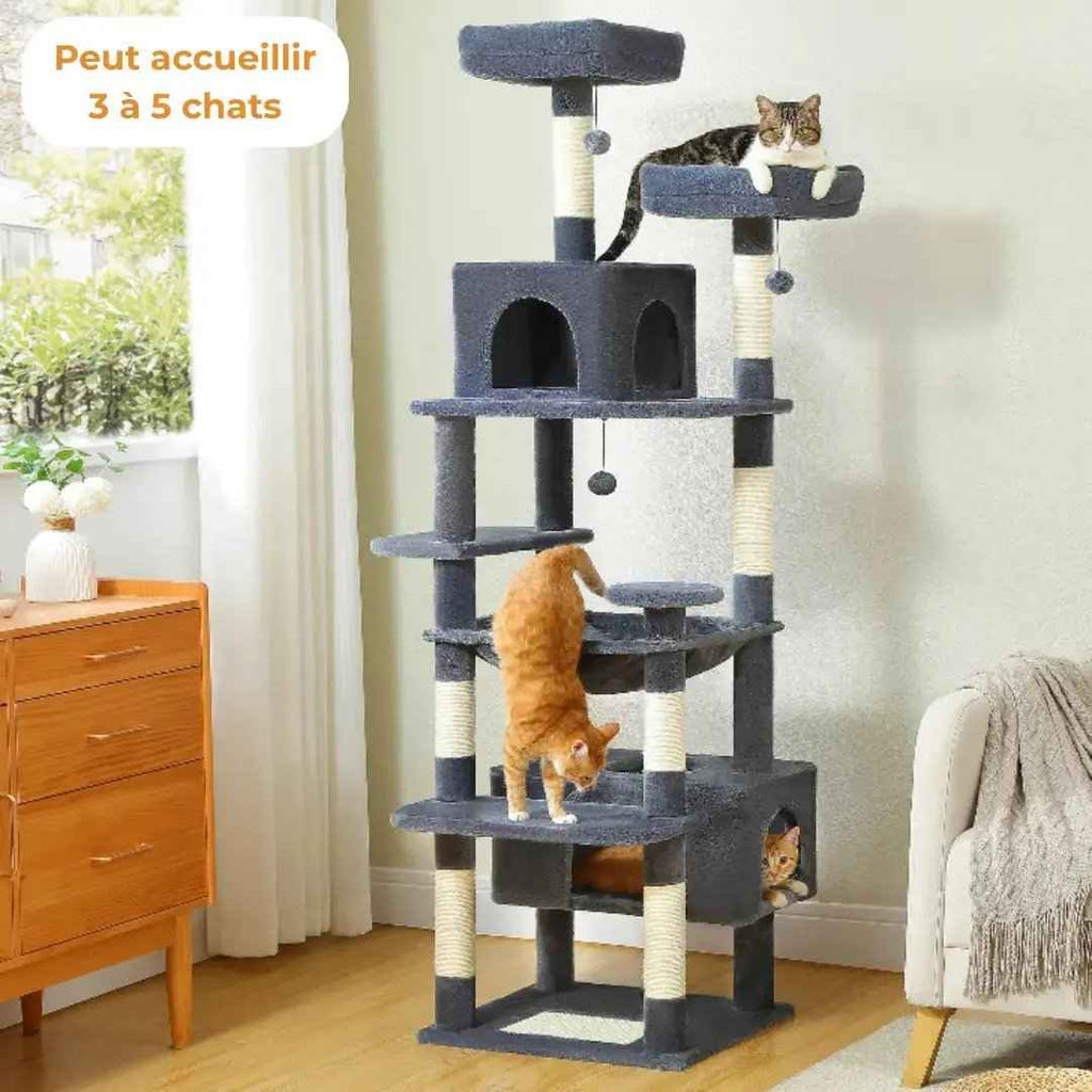 Arbre à Chat XXL