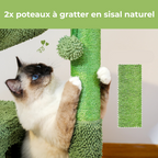 Arbre à Chat en Forme de Cactus – Griffoir, Hamac et Niche | Structure Stable et Design Original