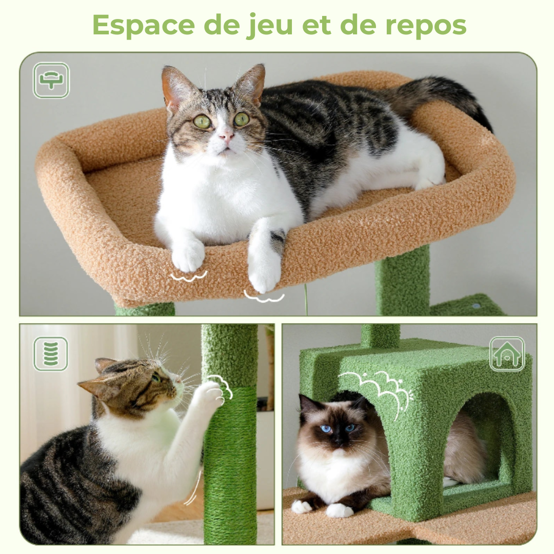 Arbre à Chat Cactus XL – Tour Multifonction avec Niche, Hamac et Plateformes | Stable et Facile à Monter