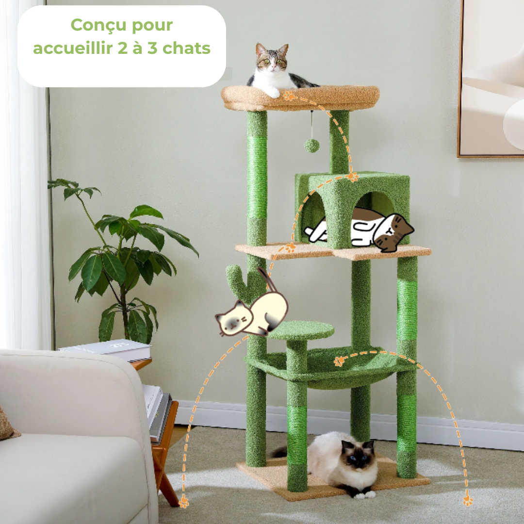 Arbre à Chat Cactus XL – Tour Multifonction avec Niche, Hamac et Plateformes | Stable et Facile à Monter