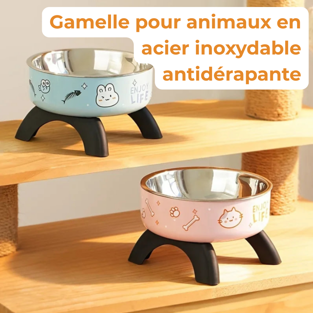 Gamelle Antidérapante pour Chat