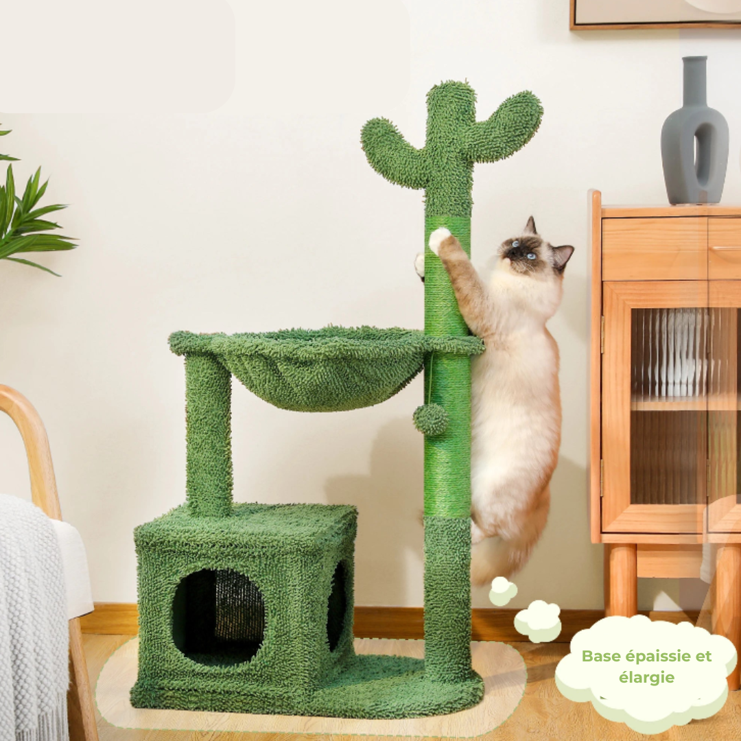 Arbre à Chat en Forme de Cactus – Griffoir, Hamac et Niche | Structure Stable et Design Original