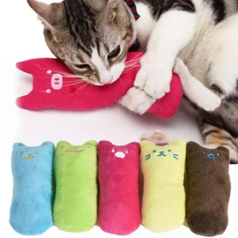 Jouet en Peluche avec Herbe à Chat – Coussin Coloré Anti-Stress pour Chats