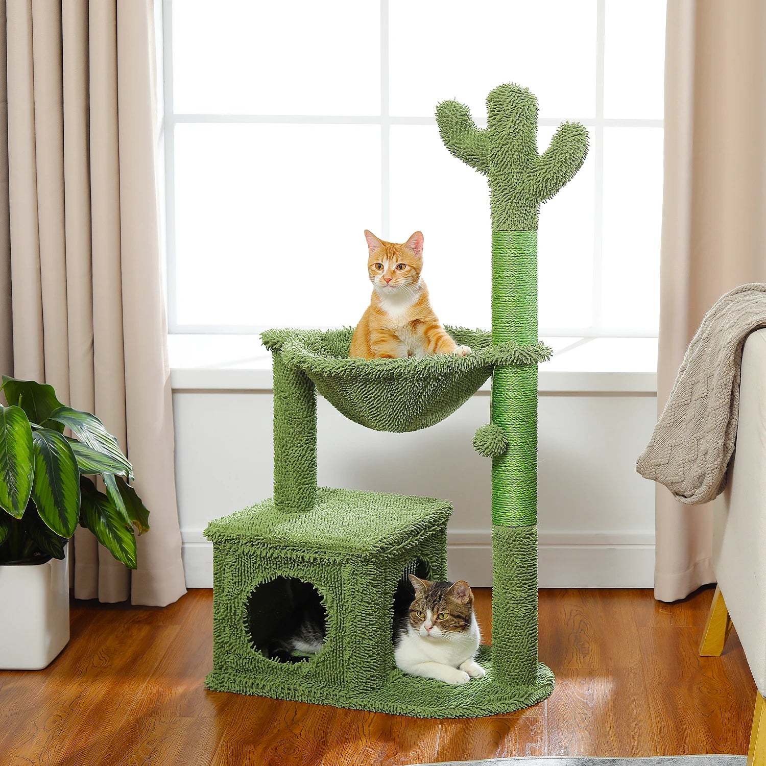 Arbre à Chat en Forme de Cactus – Griffoir, Hamac et Niche | Structure Stable et Design Original