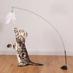 Jouet Interactif Plume Suspendue avec Ventouse