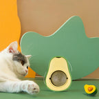Jouet Avocat avec Boule d’Herbe à Chat Rotative