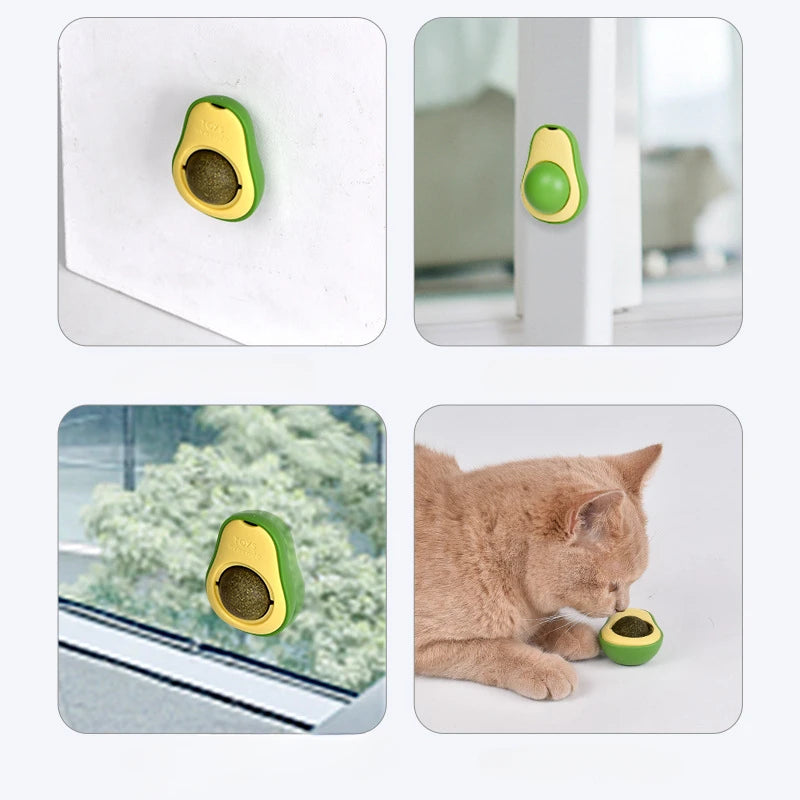Jouet Avocat avec Boule d’Herbe à Chat Rotative