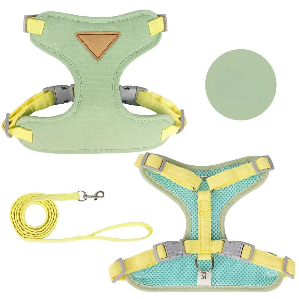 Harnais Réglable pour Chat avec Laisse – Gilet Confortable et Sécurisé pour Promenade