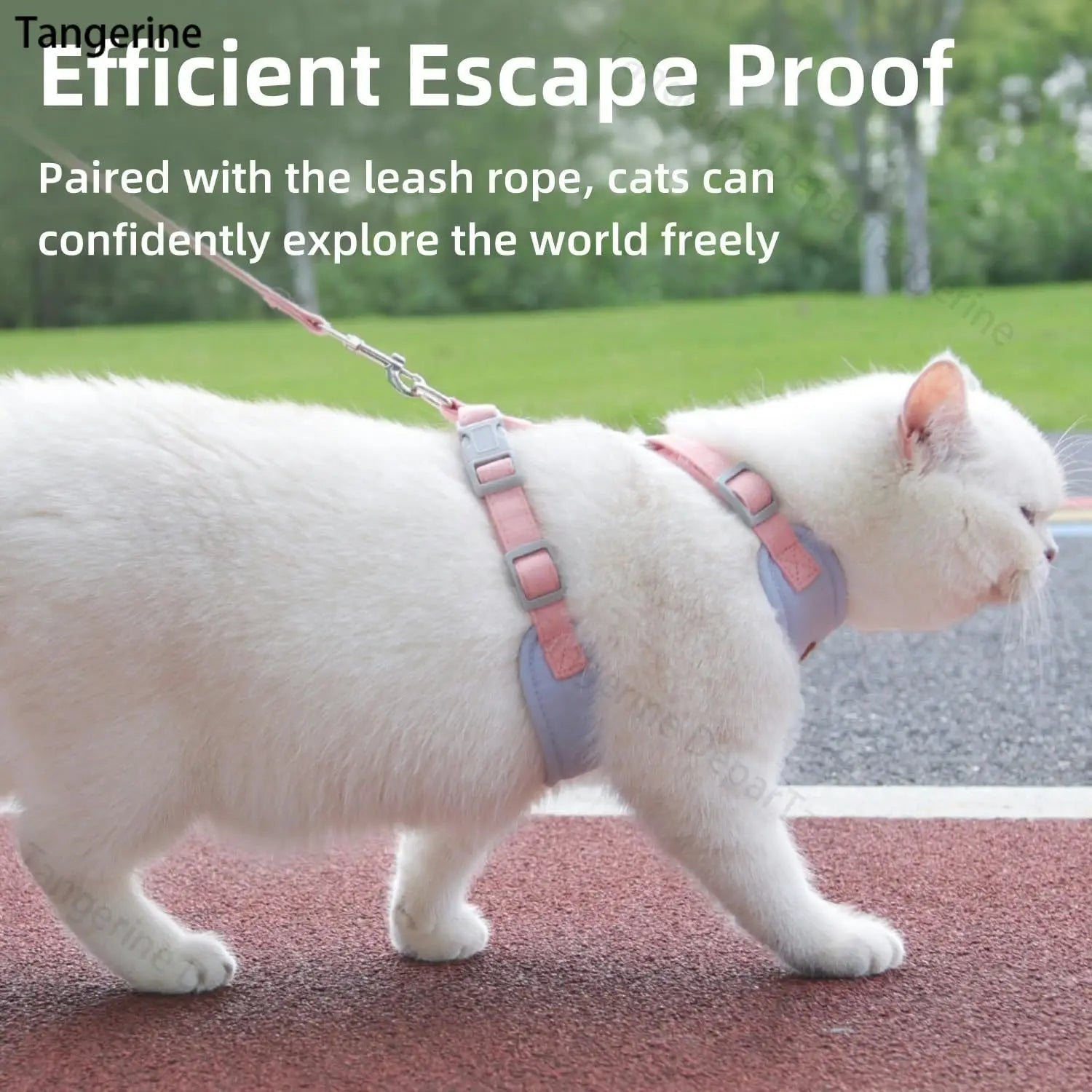 Harnais Réglable pour Chat avec Laisse – Gilet Confortable et Sécurisé pour Promenade