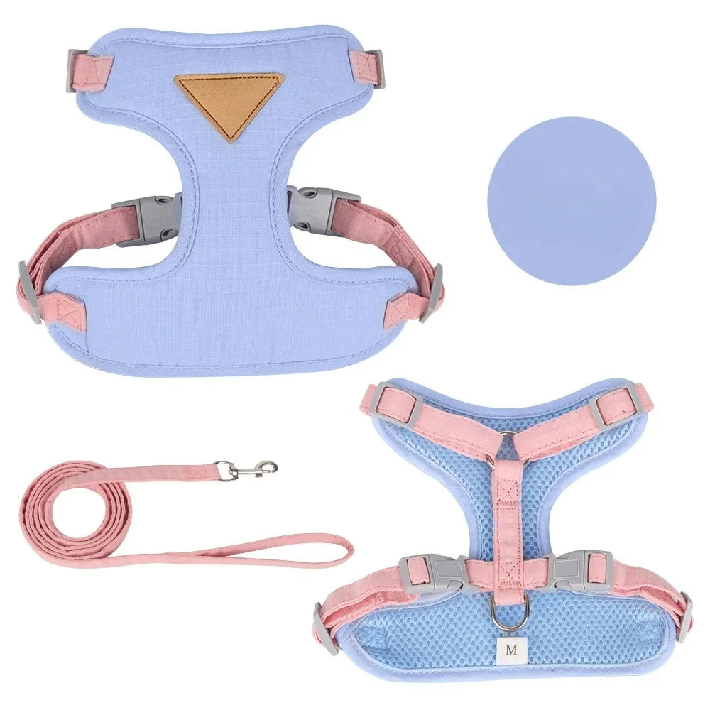 Harnais Réglable pour Chat avec Laisse – Gilet Confortable et Sécurisé pour Promenade