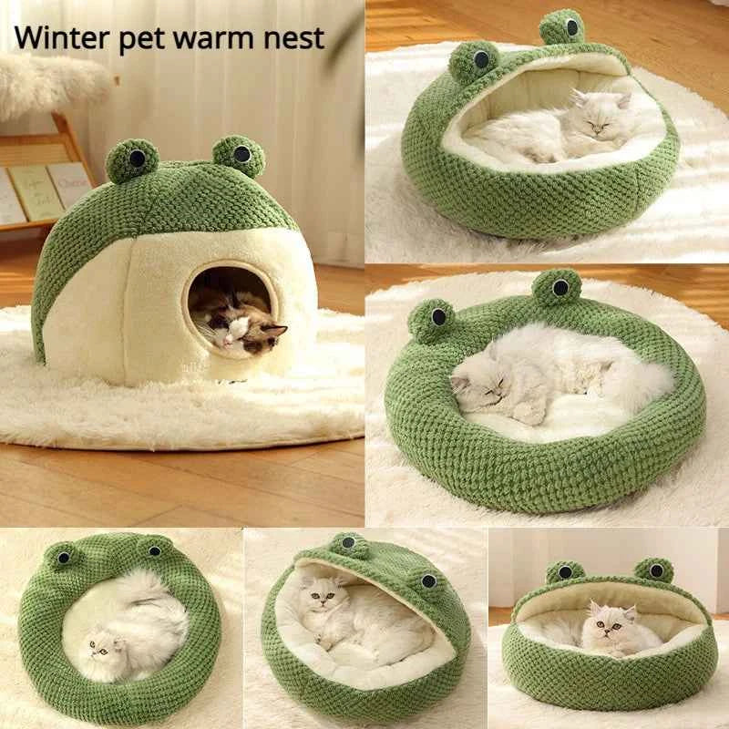 Maison pour Chat Grenouille Douillette
