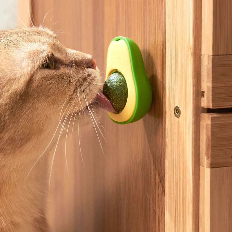 Jouet Avocat avec Boule d’Herbe à Chat Rotative