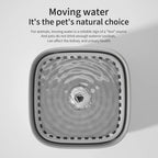 Fontaine à Eau pour Chat – Distributeur Automatique d’Eau Fraîche et Filtrée