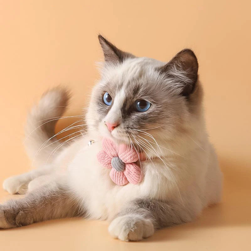 Collier Fleur pour Chat – Accessoire Élégant et Confortable