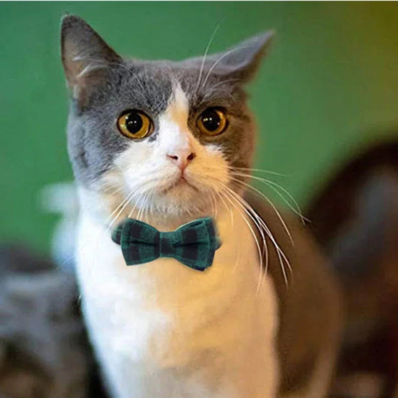 Collier Nœud Papillon pour Chat – Accessoire Élégant et Confortable
