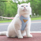Harnais Réglable pour Chat avec Laisse – Gilet Confortable et Sécurisé pour Promenade