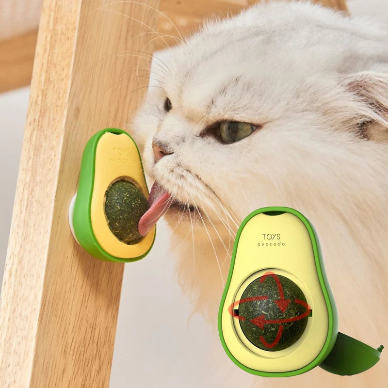 Jouet Avocat avec Boule d’Herbe à Chat Rotative
